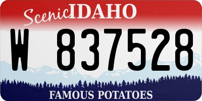 ID license plate W837528