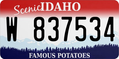 ID license plate W837534