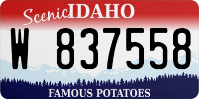ID license plate W837558