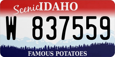 ID license plate W837559
