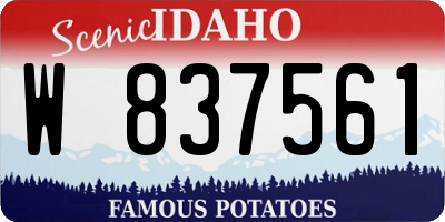 ID license plate W837561