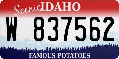 ID license plate W837562