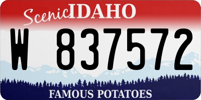 ID license plate W837572
