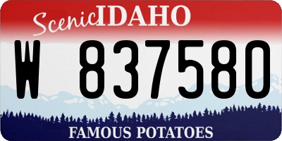 ID license plate W837580
