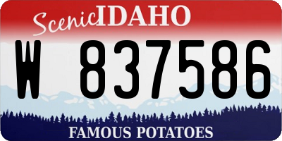 ID license plate W837586