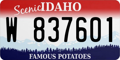 ID license plate W837601