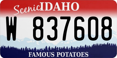 ID license plate W837608