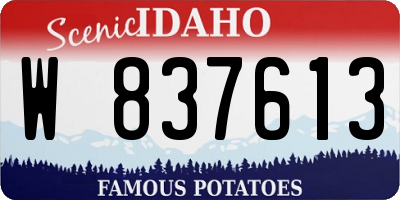 ID license plate W837613