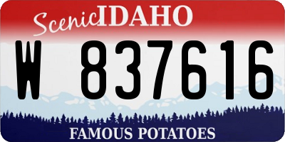 ID license plate W837616