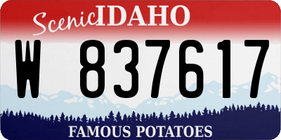 ID license plate W837617