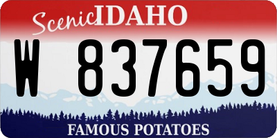 ID license plate W837659