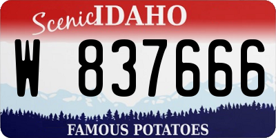 ID license plate W837666