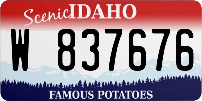 ID license plate W837676