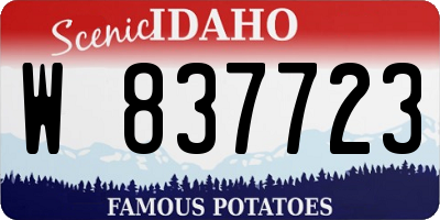 ID license plate W837723