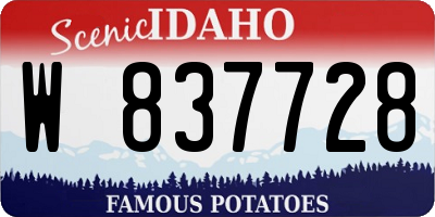 ID license plate W837728