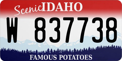 ID license plate W837738