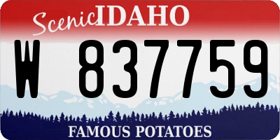 ID license plate W837759