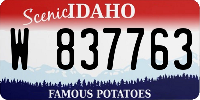ID license plate W837763