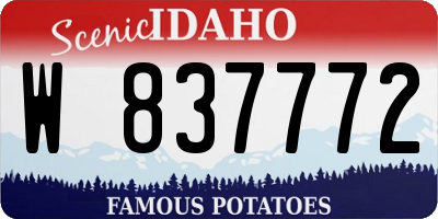 ID license plate W837772