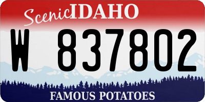 ID license plate W837802