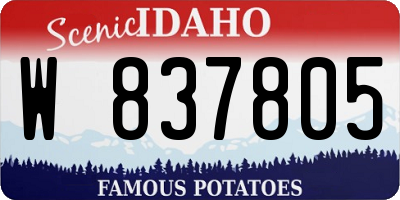 ID license plate W837805