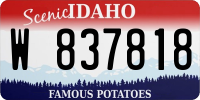 ID license plate W837818