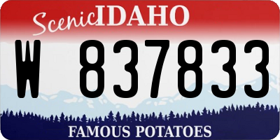 ID license plate W837833