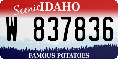 ID license plate W837836