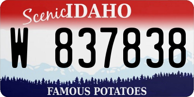 ID license plate W837838