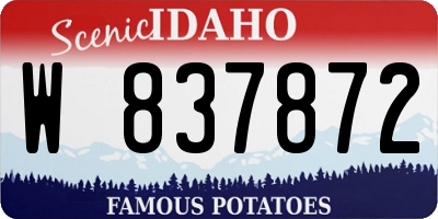 ID license plate W837872