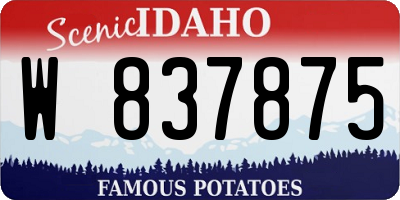 ID license plate W837875