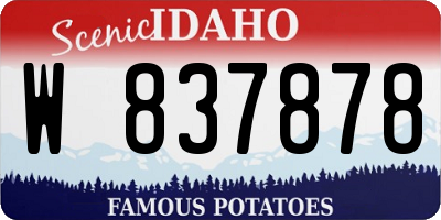 ID license plate W837878