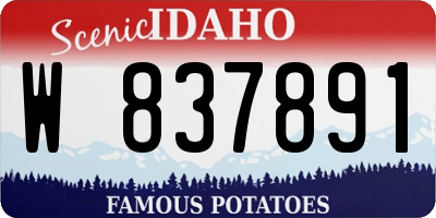 ID license plate W837891