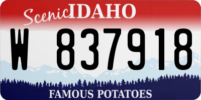 ID license plate W837918