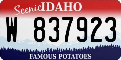 ID license plate W837923