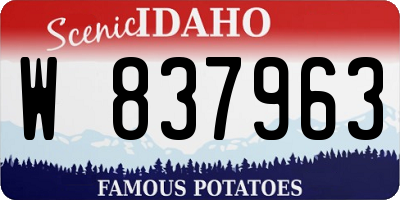 ID license plate W837963