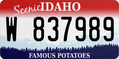 ID license plate W837989