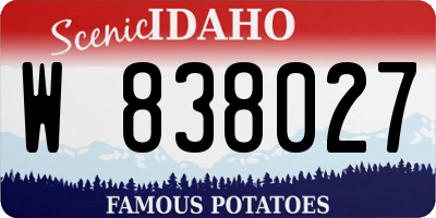 ID license plate W838027