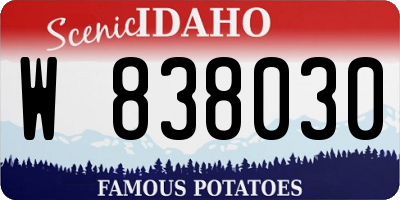 ID license plate W838030