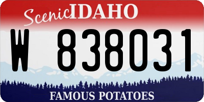 ID license plate W838031