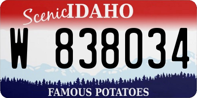 ID license plate W838034