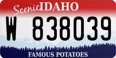 ID license plate W838039