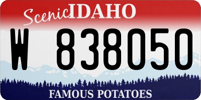 ID license plate W838050