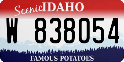 ID license plate W838054