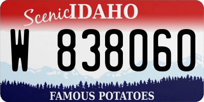 ID license plate W838060