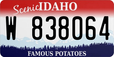 ID license plate W838064