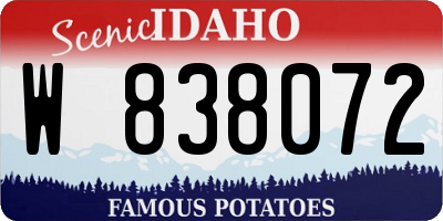 ID license plate W838072