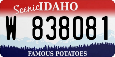 ID license plate W838081