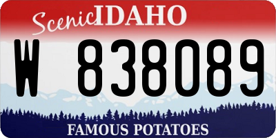 ID license plate W838089