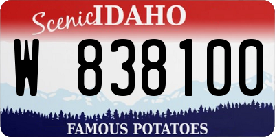 ID license plate W838100